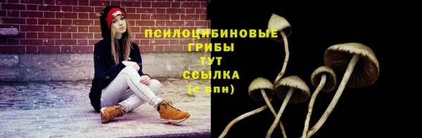 скорость Корсаков
