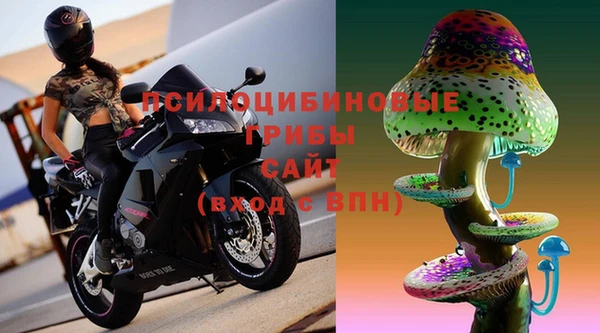 тгк Костерёво