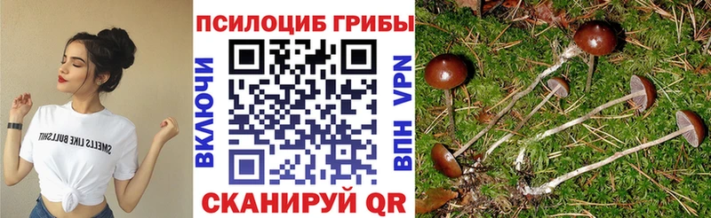 Псилоцибиновые грибы мухоморы  купить   Михайловка 