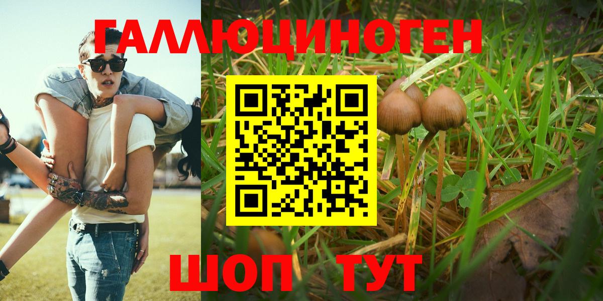 Галлюциногенные грибы Magic Shrooms  Вход с VPN  Михайловка  Псилоцибиновые грибы прущие грибы 